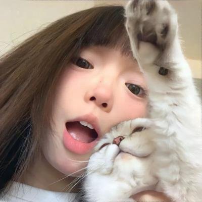 小树的天空